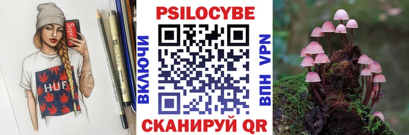 кракен онион  Пыталово  Псилоцибиновые грибы Psilocybine cubensis  что такое  